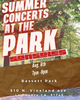 @franciscocrowmusic playing with @sonsolesmusic @franciscocrow